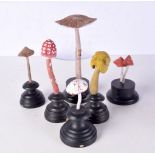 A collection of wooden mycology specimens 21 cm (6)