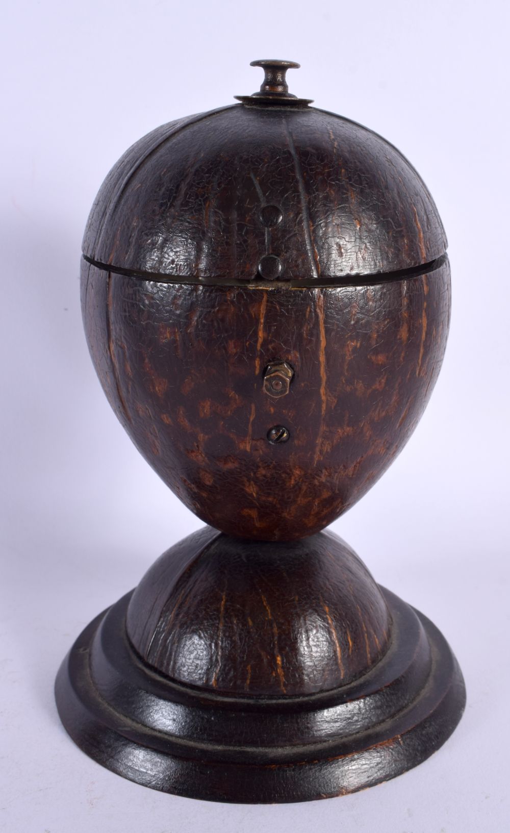 AN ANTIQUE CARVED COCONUT TEA CADDY AND COVER. 20 cm x 8 cm.