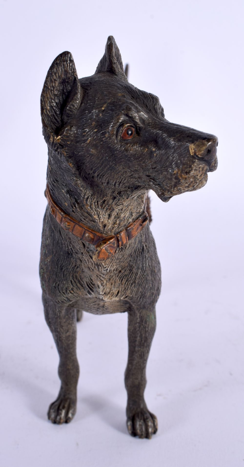 A 19TH CENTURY AUSTRIAN COLD PAINTED BRONZE PEN WIPE formed as a hound. 17 cm x 15 cm. - Image 3 of 5