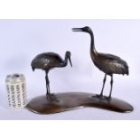 A LARGE 19TH CENTURY JAPANESE MEIJI PERIOD BRONZE OKIMONO OF TWO MANCHURIAN CRANES modelled upon a n