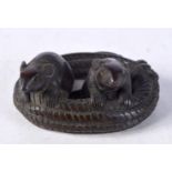 A JAPANESE WOOD NETSUKE DECORATED WITH TWO RATS. 2.3cm x 5.1cm x 4cm