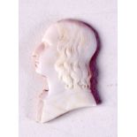 AN ANTIQUE SHELL CAMEO OF AN UNKNOWN SCHOLAR. 3.3cm x 2cm