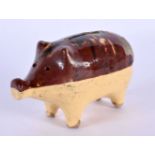 A 19TH CENTURY ENGLISH TREACLE GLAZED POTTERY PIG MONEY BOX. 12 cm x 7 cm.