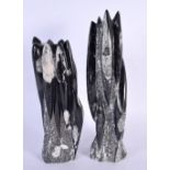 TWO PREHISTORIC POLISHED FOSSIL SCULPTURES. Largest 36 cm high. (2)