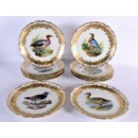 A LOVELY SET OF TWELVE VIENNA PORCELAIN PLATES painted with Ornotholical studies. 24.5 cm diameter.