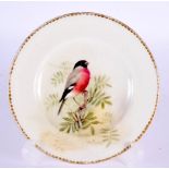 A ROYAL WORCESTER PIN DSH by Powell. 12 cm diameter.
