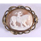 A 19TH CENTURY EUROPEAN YELLOW METAL CAMEO BROOCH depicting a figure upon a lion. 6 cm x 4.5 cm.
