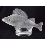 A FRENCH LALIQUE GLASS FIGURE OF A PERCH. 15 cm wide.