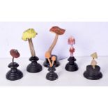A collection of carved wood mushroom and fungi specimens 22cm (6)