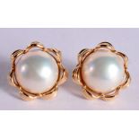 A PAIR OF 14CT GOLD AND PEARL EARRINGS. 9.5 grams. 1.75 cm wide.