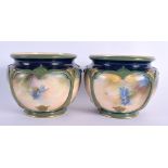 Hadley Worcester good pair of jardinières each painted with blue flowers JHS mark in green c. 1900 8