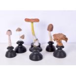 A collection of carved wood mushroom and fungi specimens 21cm (6)