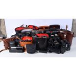 A huge collection of Binoculars (Qty)