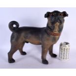 A 19TH CENTURY AUSTRIAN COLD PAINTED TERRACOTTA DOG. 34 cm x 32 cm.