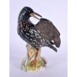 A 19TH CENTURY MEISSEN PORCELAIN FIGURE OF A BIRD. 16 cm x 8 cm.