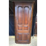 A large Mahogany two door corner cabinet 215 x 91 cm