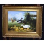 Ray Jacob 20/21st Century framed oil on canvas depicting waterfowl 28 x 38 cm.