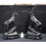 A large pair of bronze stags 72 cm (2)