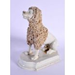 AN EARLY 19TH CENTURY STAFFORDSHIRE ENCRUSTED PORCELAIN POODLE. 18 cm x 15 cm.