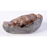 A Whale Ear Bone Fossil. 6.9cm x 4cm x 2.6cm