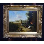 Ray Jacob 20/21st Century framed oil on board depicting chickens 37 x 47 cm