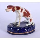 A 19TH CENTURY STAFFORDSHIRE FIGURE OF A CHAINED HOUND. 12 cm x 10 cm.