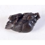 A JAPANESE BOXWOOD TOAD NETSUKE. 5 cm x 3 cm.