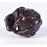 A JAPANESE BOXWOOD FRUITING POD NETSUKE. 5 cm x 3 cm.