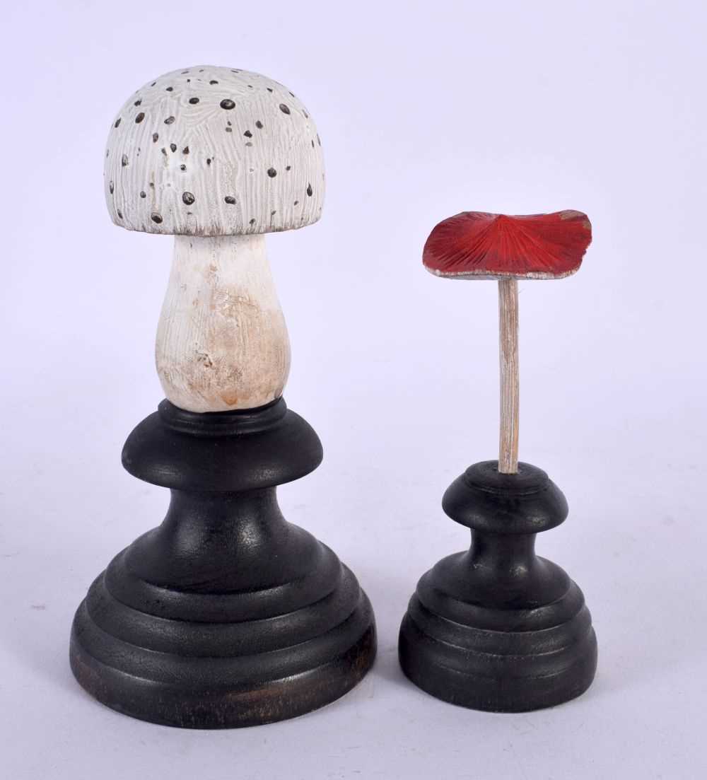 TWO TAXIDERMY MUSHROOM FUNGUS SPECIMENS. 14 cm high. (2) - Image 2 of 2