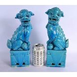 A PAIR OF 19TH CENTURY CHINESE TURQUOISE BLUE GLAZED BUDDHISTIC LIONS Kangxi style. 30 cm x 14 cm.