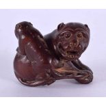 A JAPANESE CARVED BOXWOOD DOG NETSUKE. 5 cm x 3 cm.