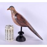 A EUROPEAN PAINTED FOLK ART WOOD PIGEON DECOY. 27 cm x 18 cm.