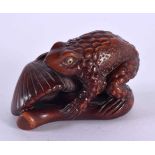 A JAPANESE CARVED BOXWOOD TOAD AND MUSHROOM NETSUKE. 5 cm x 3 cm.