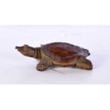 A Japanese bronze figure of a tortoise. 6 cm.