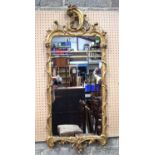 An 18 th Century English gilt and plaster framed mirror with swirling Acanthus decoration 140 x 59