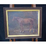 A framed oil on canvas of a horse, signed indistinctly. 42 x 52cm.