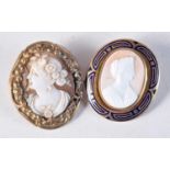 TWO ANTIQUE CAMEOS. 17 grams. 3.75 cm x 3 cm. (2)