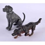 AN ANTIQUE AUSTRIAN COLD PAINTED FIGURE OF A HOUND together with another similar figure. Largest
