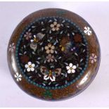 A 19TH CENTURY JAPANESE MEIJI PERIOD CLOISONNE ENAMEL KOGO decorated with insects and flowers. 7.5