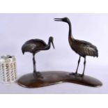 A LARGE 19TH CENTURY JAPANESE MEIJI PERIOD BRONZE OKIMONO modelled as two standing birds upon a