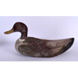 A VINTAGE CARVED AND PAINTED WOOD DECOY DUCK. 34 cm x 18 cm.