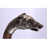 AN ANTIQUE SILVER PLATED DOG HEAD WALKING CANE. 86 cm long.