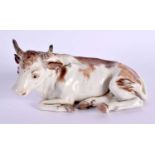 A RARE 18TH CENTURY AUSTRIAN VIENNA PORCELAIN FIGURE OF A COW modelled recumbent. 12 cm x 5 cm.