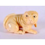 A JAPANESE CARVED BONE DOG NETSUKE. 5 cm x 3 cm.