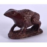 A JAPANESE CARVED BOXWOOD TOAD OKIMONO. 6 cm x 4 cm.