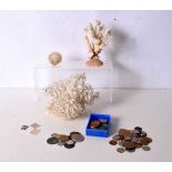 A collection of coral, a Puffer fish and a collection of coins (Qty).