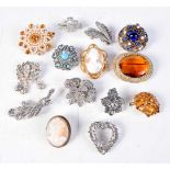 A collection of broaches including Cameos (14).