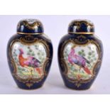 A PAIR OF 19TH CENTURY SAMSONS OF PARIS PORCELAIN TEA CANISTERS AND COVERS painted in the