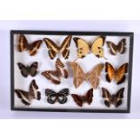 A CASED SET OF EARLY 20TH CENTURY BUTTERFLY SPECIMENS Attributed to Dayrolle, Paris. 38 cm x 24 cm.