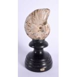 A FOSSILISED AMMONITE ON STAND. 13 cm high.